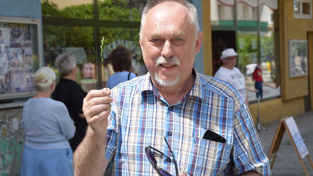 Janusz Sanocki, poseł