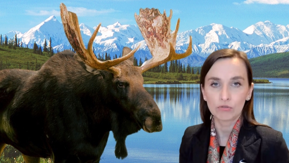 fot. ilustracyjne/fot. Denali National Park, Alaska/CC BY-SA 3.0/YT/Super Express/Pixabay (kolaż)