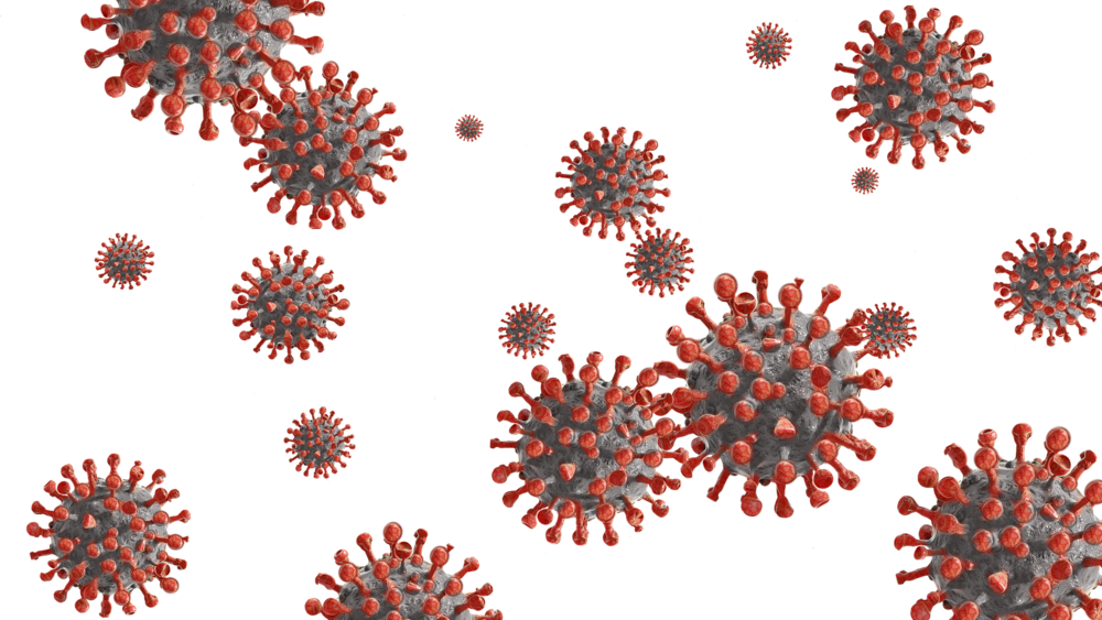 fot. Pixabay.com
