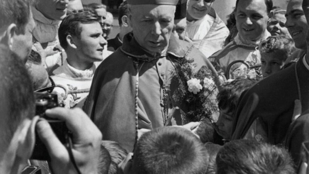 fot. materiały prasowe