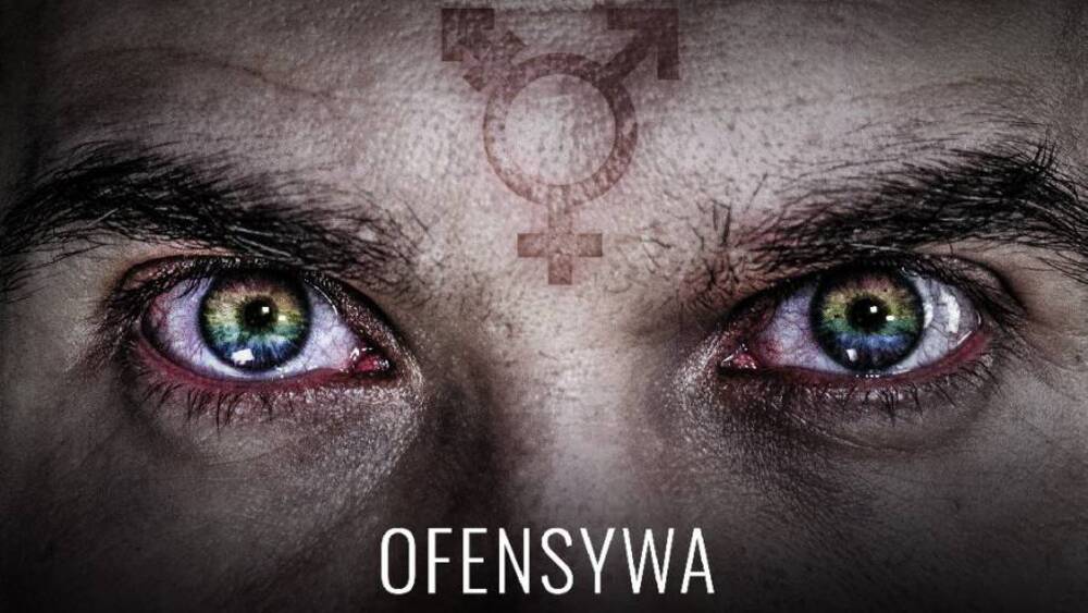 Ofensywa ideologii gender, film dokumentalny