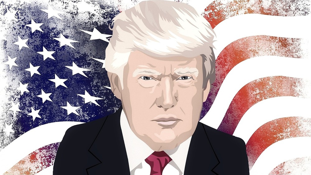Donald Trump, grafika