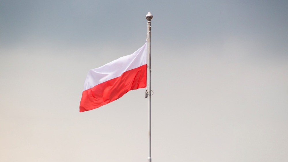 fot. materiały prasowe