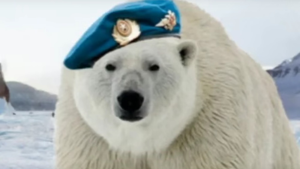 niedźwiedź polarny w specnazie