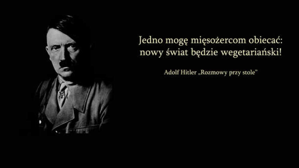 fot. materiały prasowe