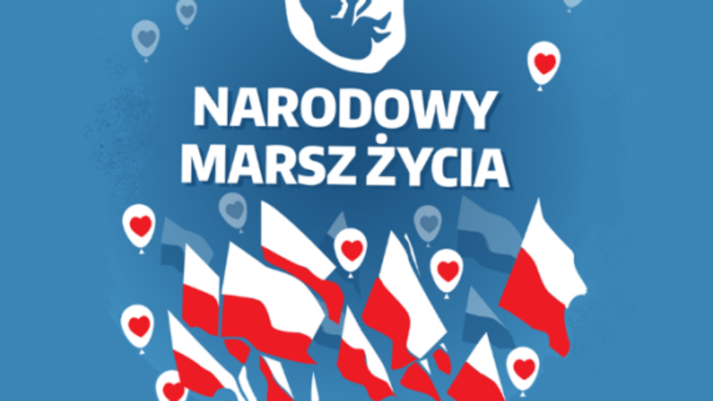 fot. materiały prasowe