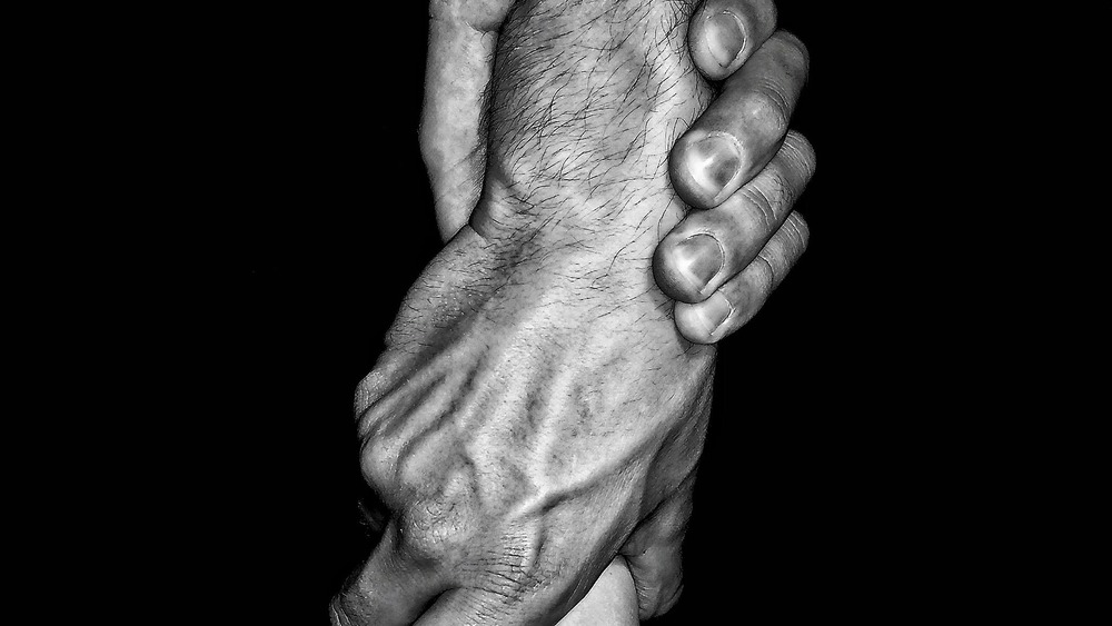 zdjęcie ilustracyjne