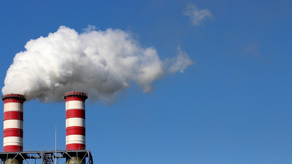 Zdjęcie ilustracyjne.