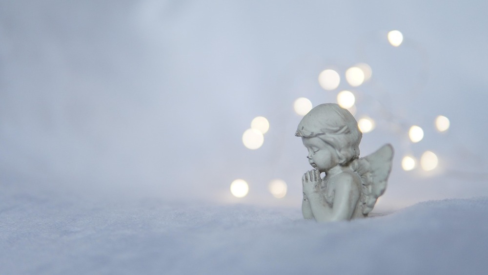 zdjęcie ilustracyjne