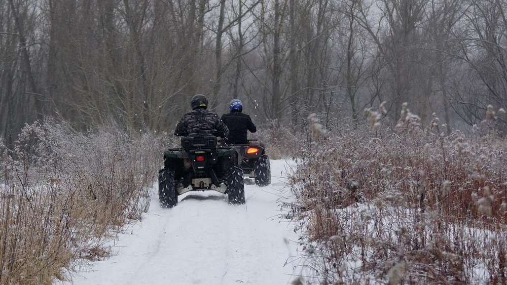 zdjęcie ilustracyjne