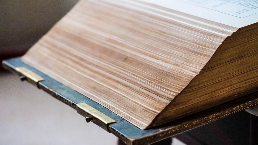 zdjęcie ilustracyjne