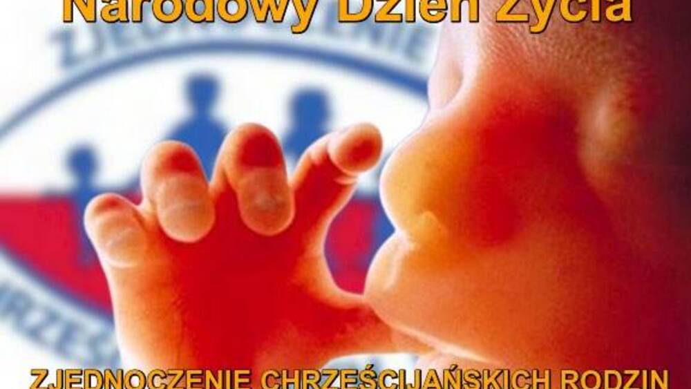 zdjęcie ilustracyjne