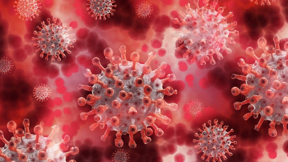 Będzie nowa pandemia! Używają określenia "choroba X"