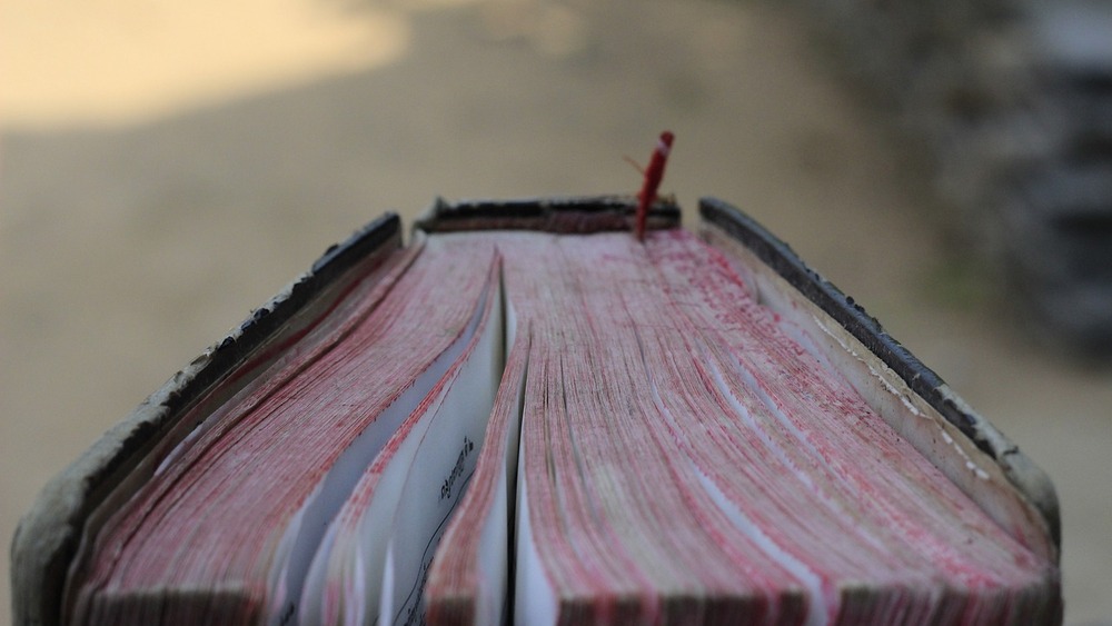 zdjęcie ilustracyjne