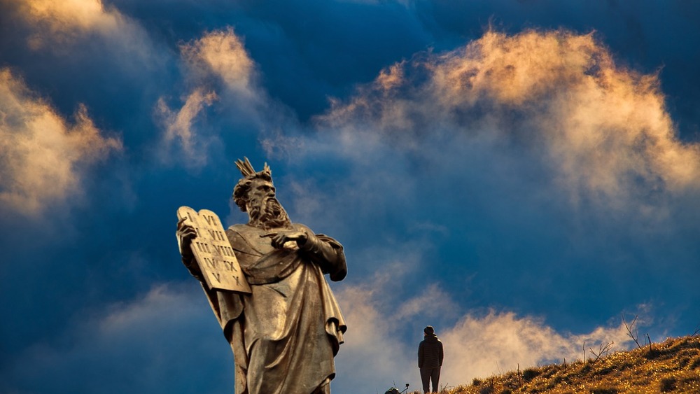 zdjęcie ilustracyjne