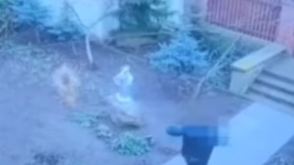 parafia w gminie Lwówek