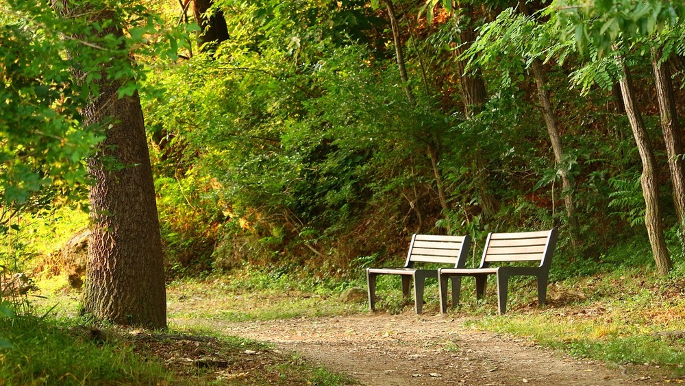 Zdjęcie ilustracyjne.