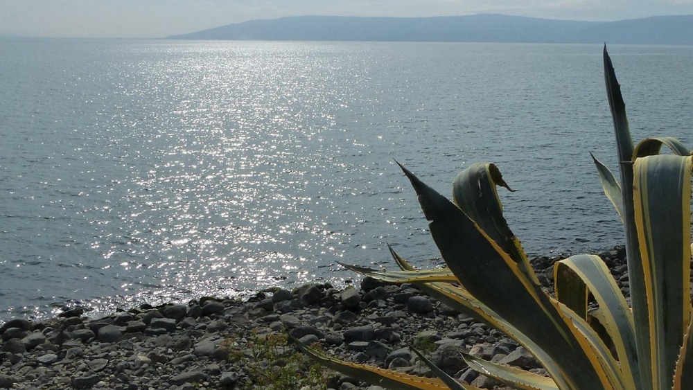 zdjęcie ilustracyjne