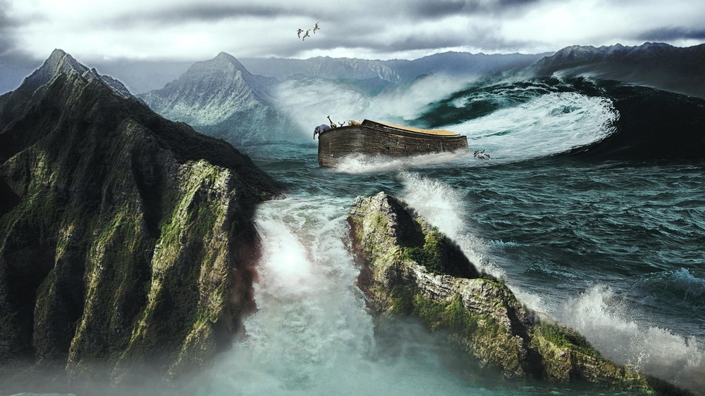 zdjęcie ilustracyjne