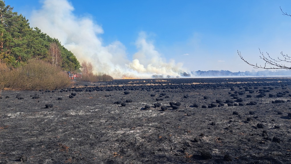 Pożar lasów i łąk pod Wyszkowem