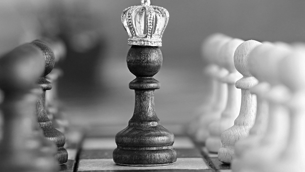 zdjęcie ilustracyjne