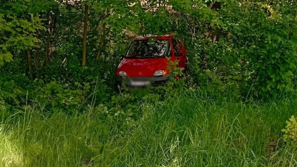 auto w krzakach