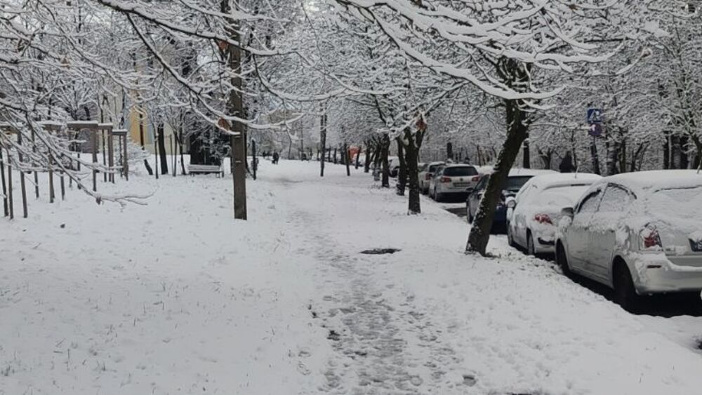 Zdjęcie ilustracyjne