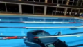 Kobieta wjechała autem do basenu! W środku 5-latka przypięta do fotelika! [VIDEO]