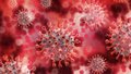 Będzie nowa pandemia! Używają określenia "choroba X"