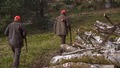 60-latek zastrzelony podczas polowania. Czy sprawcą mogło być dziecko?!
