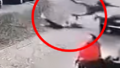 Dramat w Chełmnie! Kierujący Mitsubishi staranował 6 osób! [VIDEO]