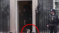 Karol Nawrocki spotkał się z kotem przy Downing Street. W sieci zawrzało!