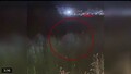 Lew uciekł z ogrodu zoologicznego. Ciężko ranił mężczyznę! (WIDEO)