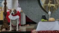 Pies został ministrantem? Zaskakujące sceny w kościele! [VIDEO]