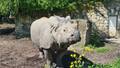 Skandaliczne zachowanie w warszawskim ZOO. Ogród Zoologiczny apeluje!
