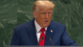 Trump konkretnie o zielonym szaleństwie na forum ONZ
