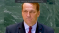Sikorski zostanie Premierem?