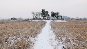 Korea Północna: największa susza od 37 lat