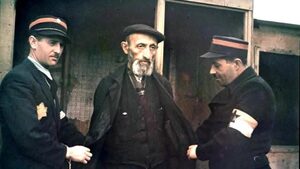 Żydzi mordowali Żydów