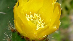 Byłam Marią Magdaleną - świadectwo Doroty