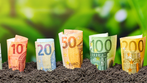 GIGANTYCZNE koszty! Wszyscy zapłacimy za Zielony Ład! 