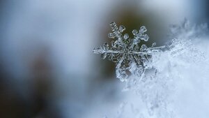 PIERWSZY śnieg? ZASKAKUJĄCE prognozy pogody!