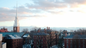 Harvard wymusza uznanie gender przez studentów