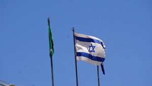 Izrael żąda nie wpuszczenia Davida Irvinga do Polski