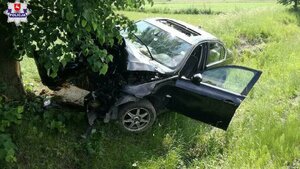Nawalony Murzyn pod Lublinem zawinął BMW wokół drzewa bo mu... antylopa wbiegła