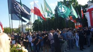 Fotorelacja z narodowego Marszu Zwycięstwa Rzeczypospolitej ku czci bohaterów z 1920, i kontrmanifestacji lewaków