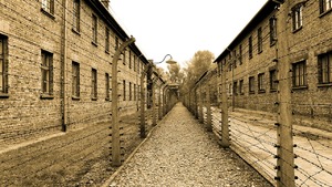 Tarczyński  odpowiada amerykańskiej polityk