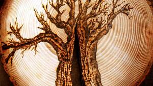 Byłem na samym dnie piekła pornografii – wstrząsające świadectwo Wojtka