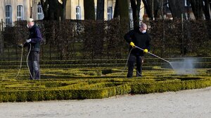 Jak długo koronawirus utrzymuje się na powierzchni?