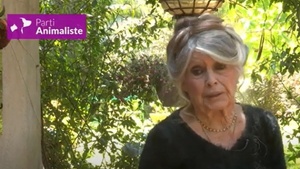 ZASKAKUJĄCE słowa Brigitte Bardot! Tego NIKT się nie spodziewał 